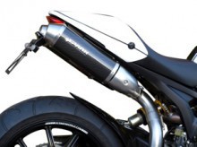   MONSTER 1100 EVO