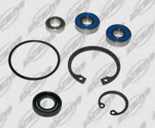 РЕМКОМПЛЕКТ НАСОСА
