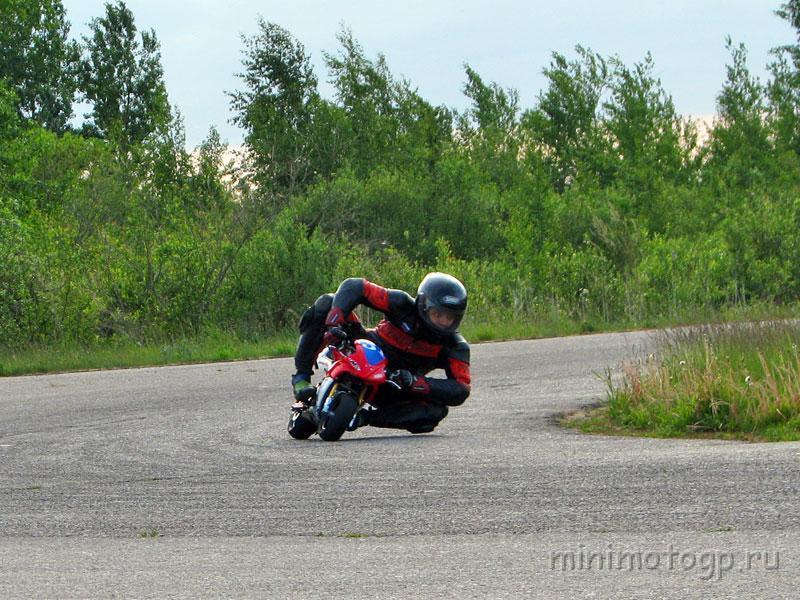 IMG_1651.jpg